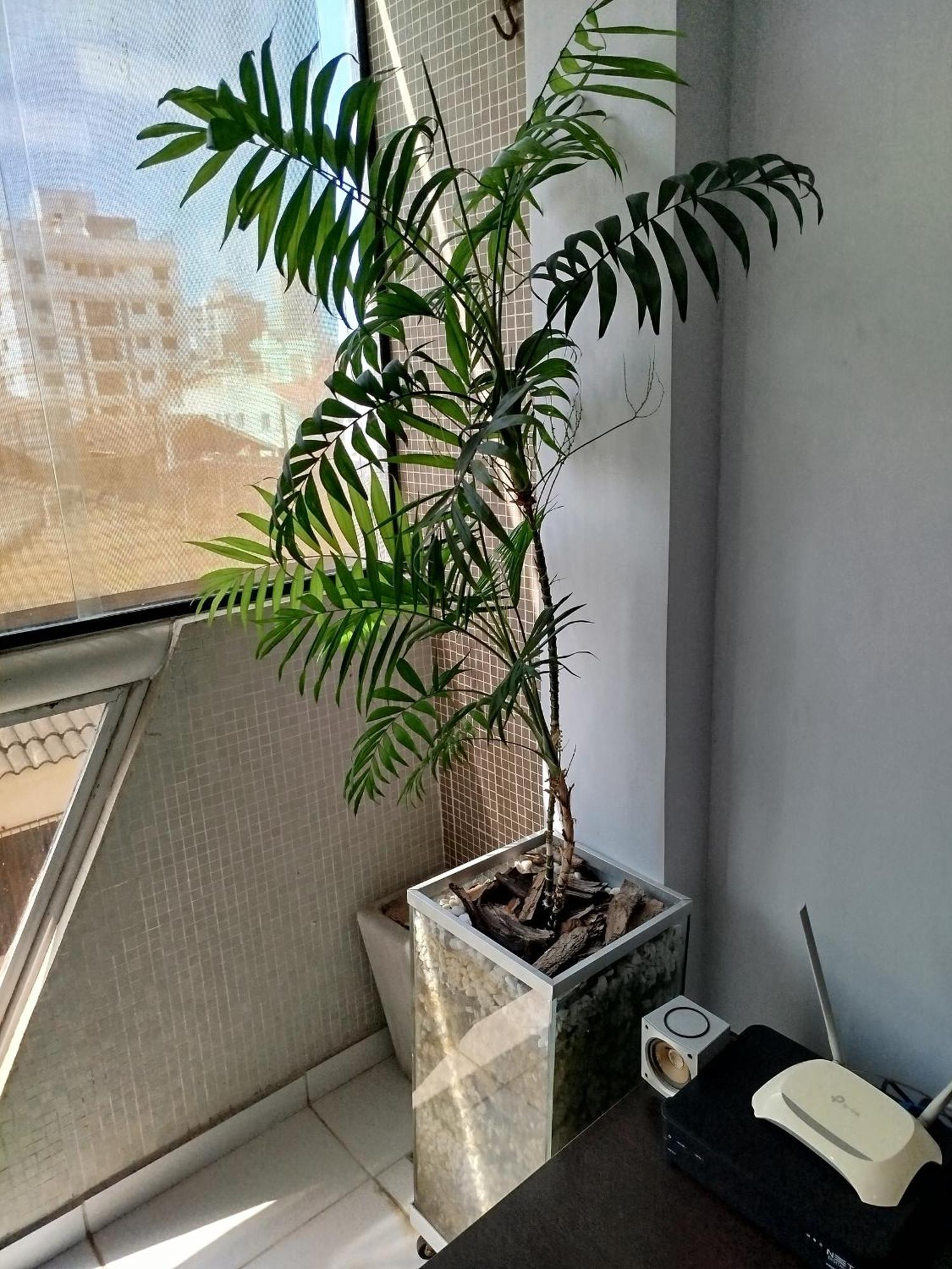Apartamento Impecavel Na Enseada Guarujá Zewnętrze zdjęcie